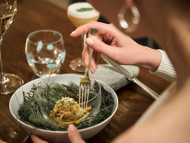 A Sensory Journey at the Table of the Chef